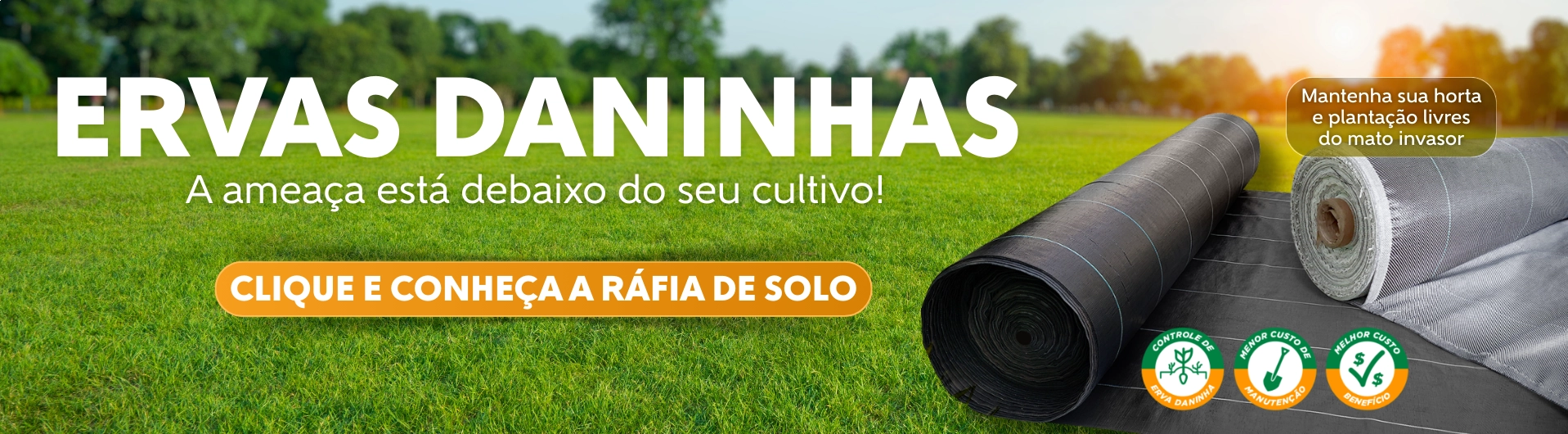 Banner principal 1